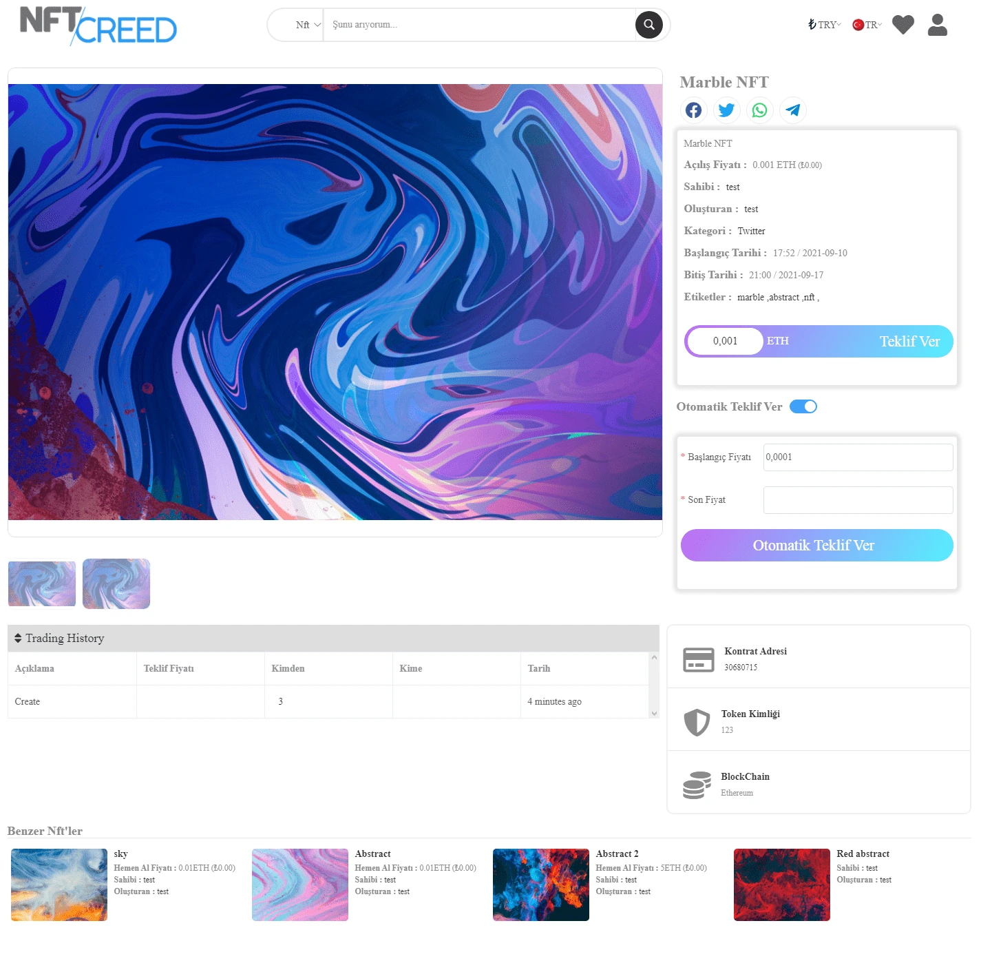 project preview