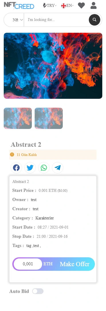 project preview