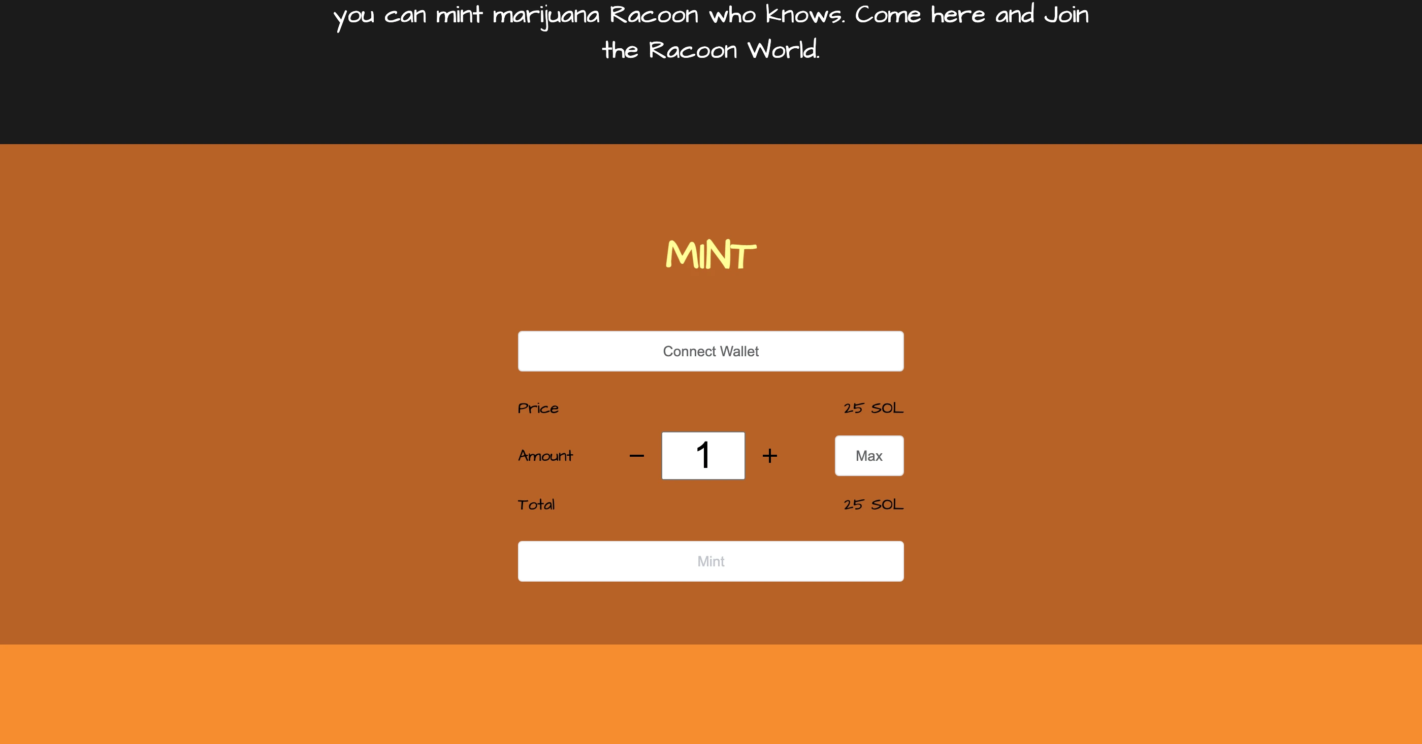 project preview