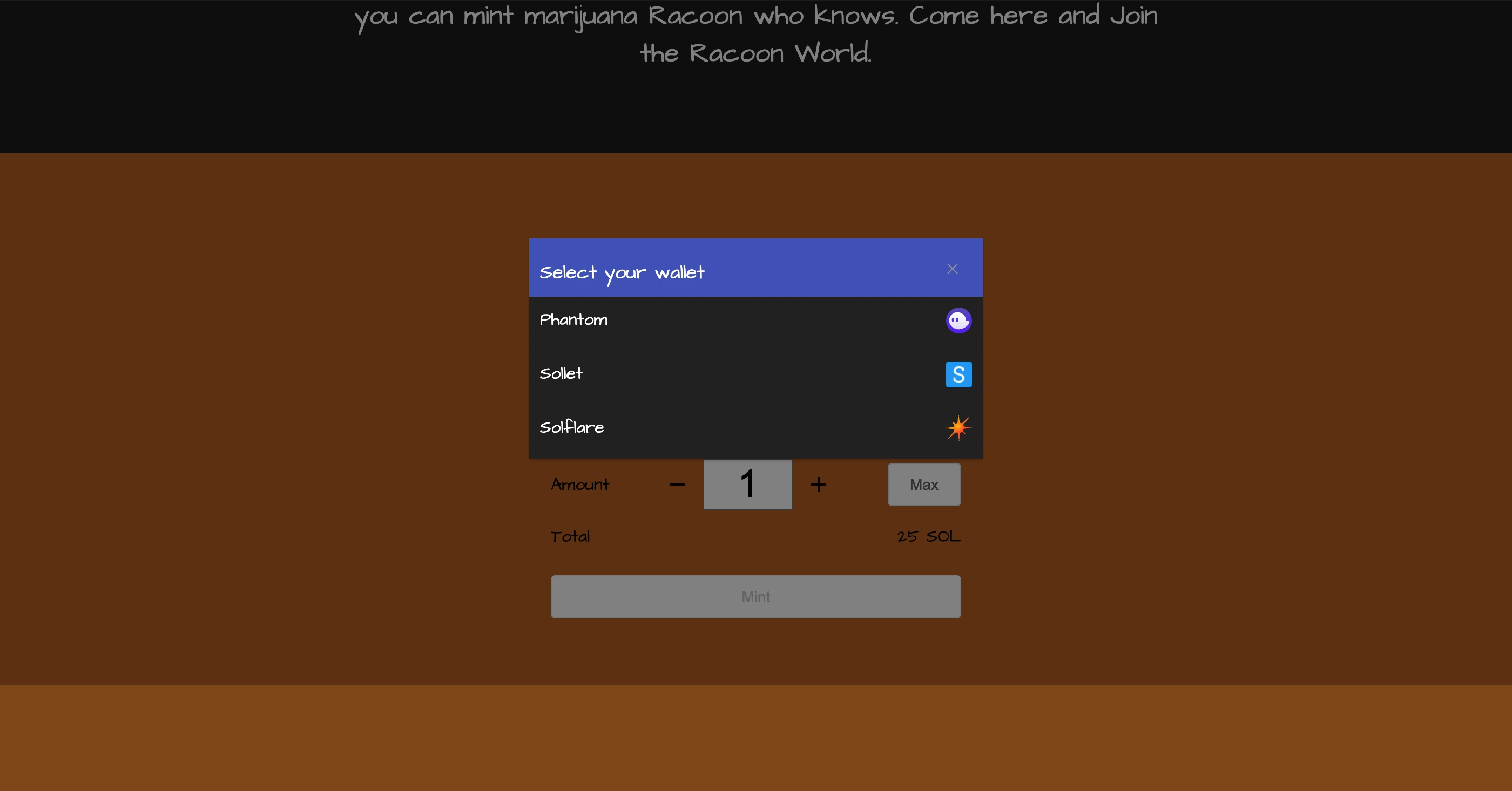 project preview